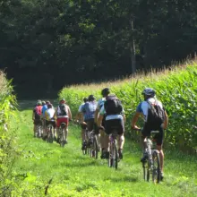 Menschen fahren in einer Reihe Fahrrad in einem Feld