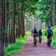 Menschen fahren Fahrrad im Wald